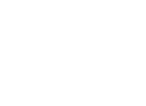 logo npo frauennetzwerk weiss