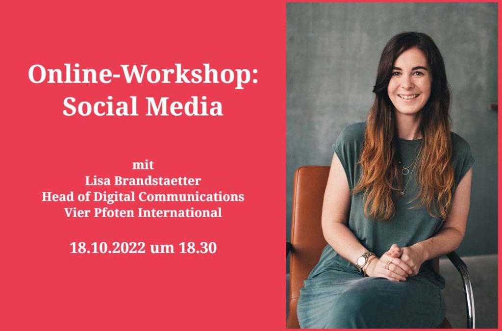 Online-Workshop: Social Media mit Lisa Brandstaetter