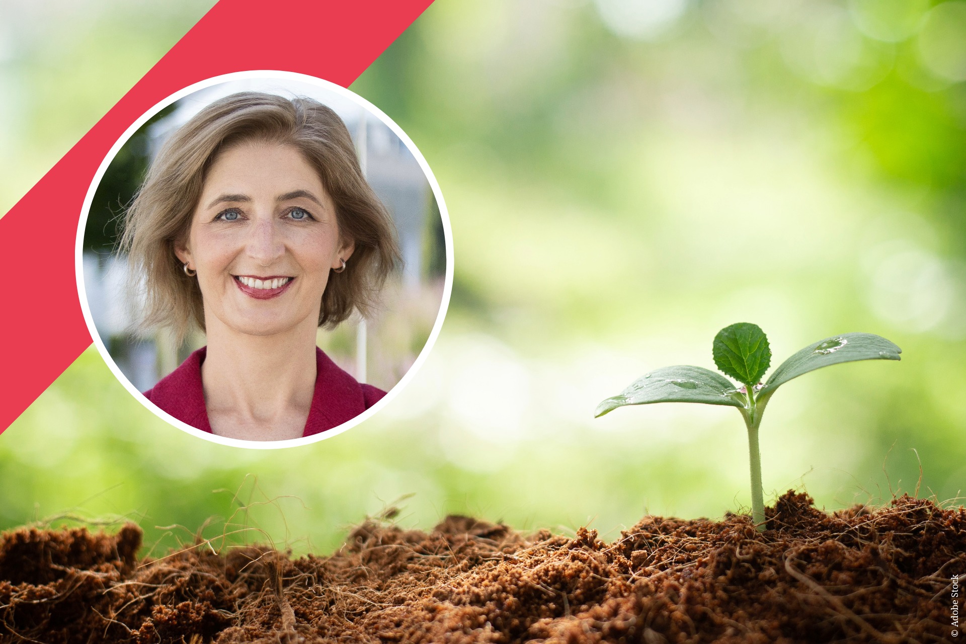 Peer Coaching Exklusiv für Mitglieder