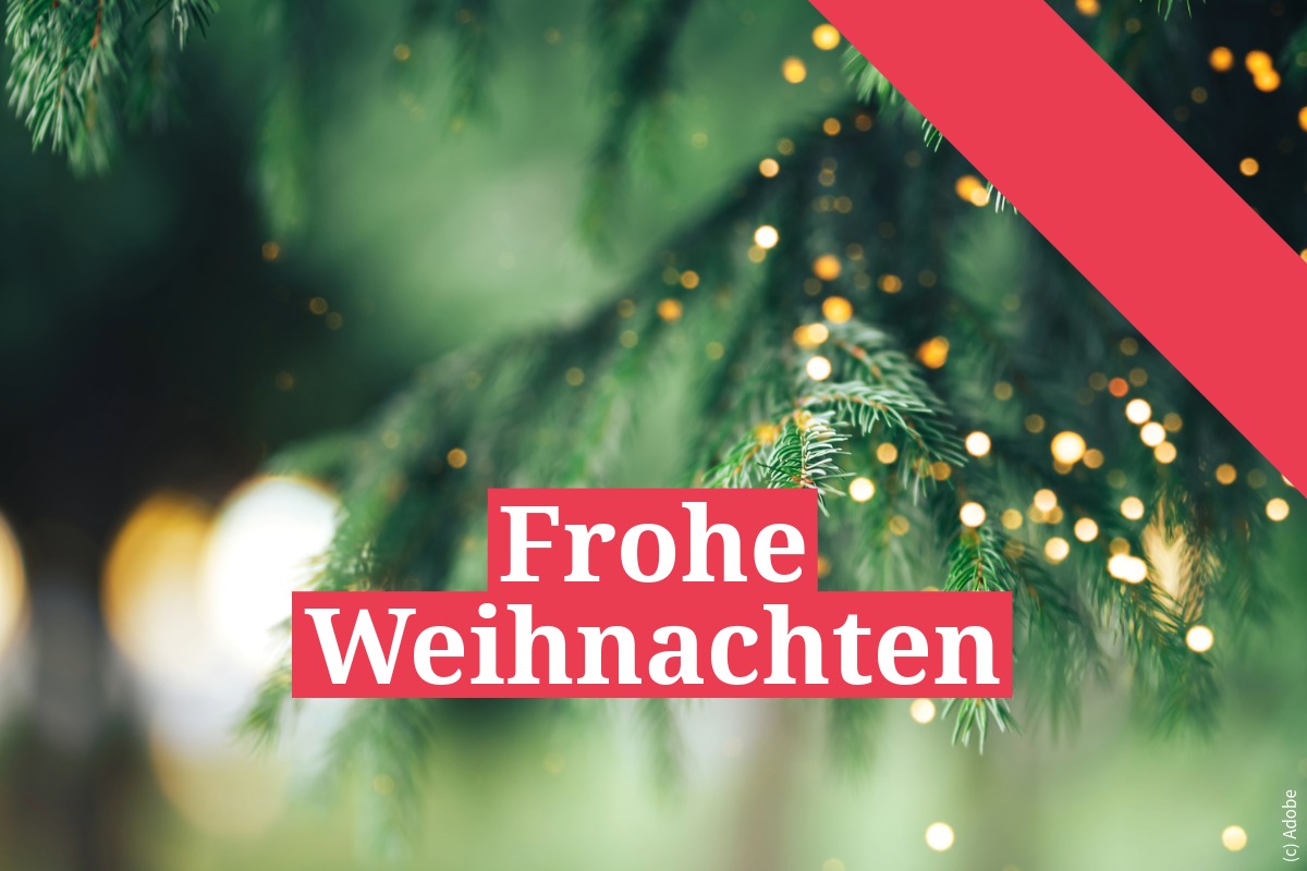 Peer Coaching Exklusiv für Mitglieder