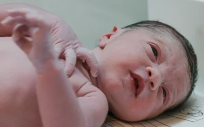 Gewinnspiel: 2×2 Kino-Gutscheine für „Wise Women“