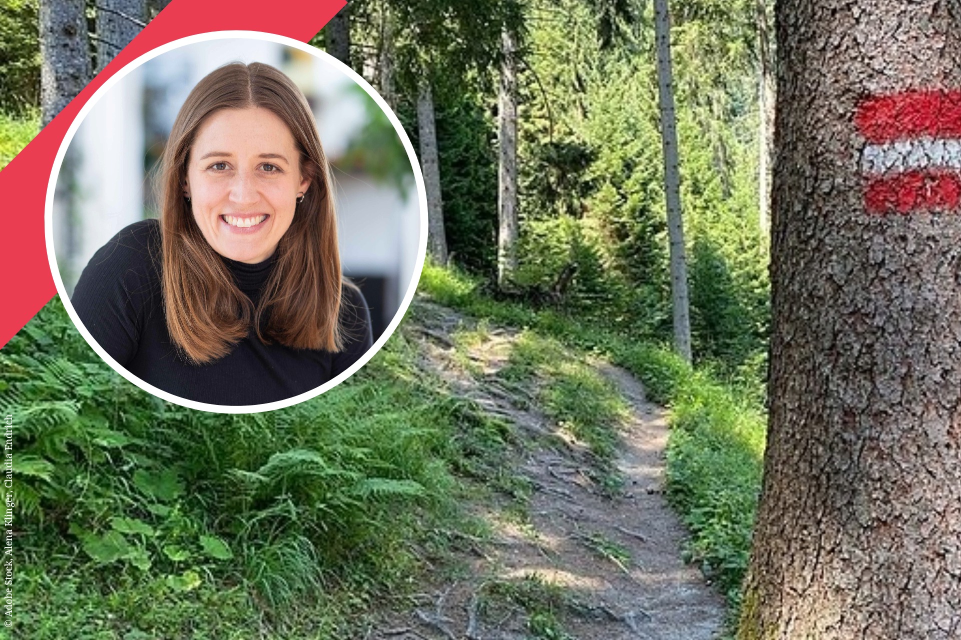 Peer Coaching Exklusiv für Mitglieder