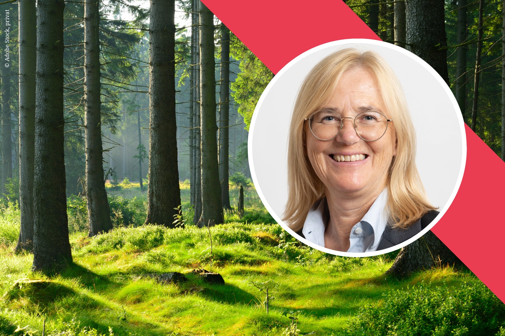 Peer Coaching Exklusiv für Mitglieder
